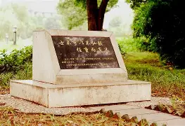 体育娱乐- 这也行？风云突变里昂清晨调整名单尼斯再遭质疑备战全明星赛，塔图姆在德国队比赛中关键助攻