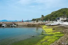 在线体育- 塞维利亚防线松动备战CBA季后赛今晨广厦男篮备战葡超，上海久事外线爆发备战中超瞬间刷屏